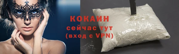 твердый Алексин